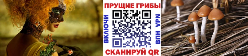 Псилоцибиновые грибы мухоморы  Нытва 